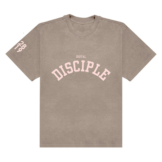 Digital Disciple Arc Faded Mushroom